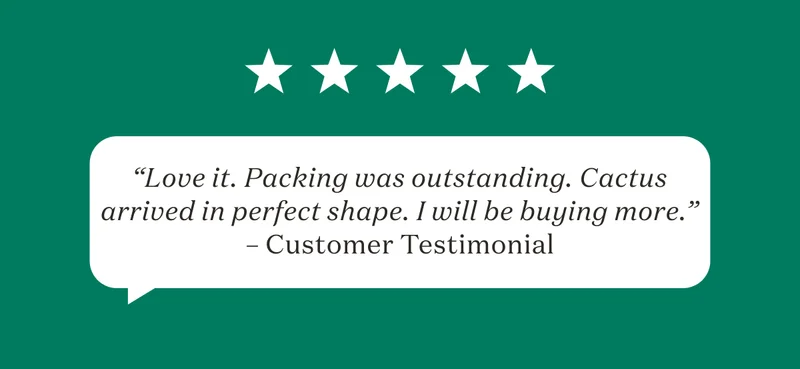 "Love it. Packaging was outstanding. Cactus arrived in perfect shape. I will be buying more."