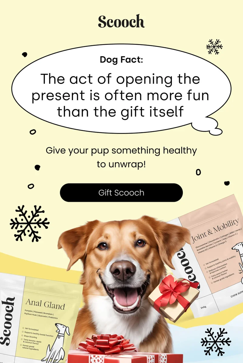 Give your pup something healthy to unwrap! - Gift Scooch