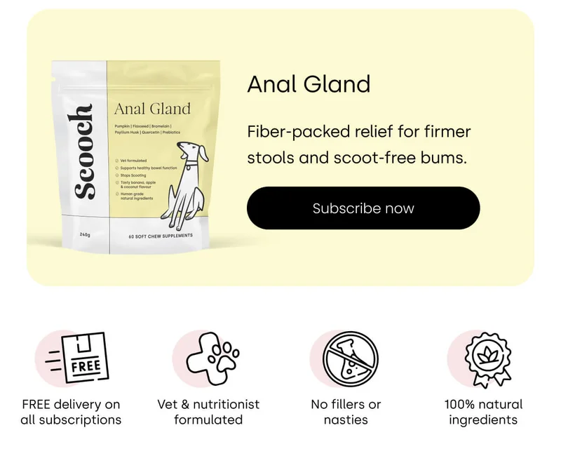 Make your pup unwrap these healthy treats! - Subscribe to Anal Gland