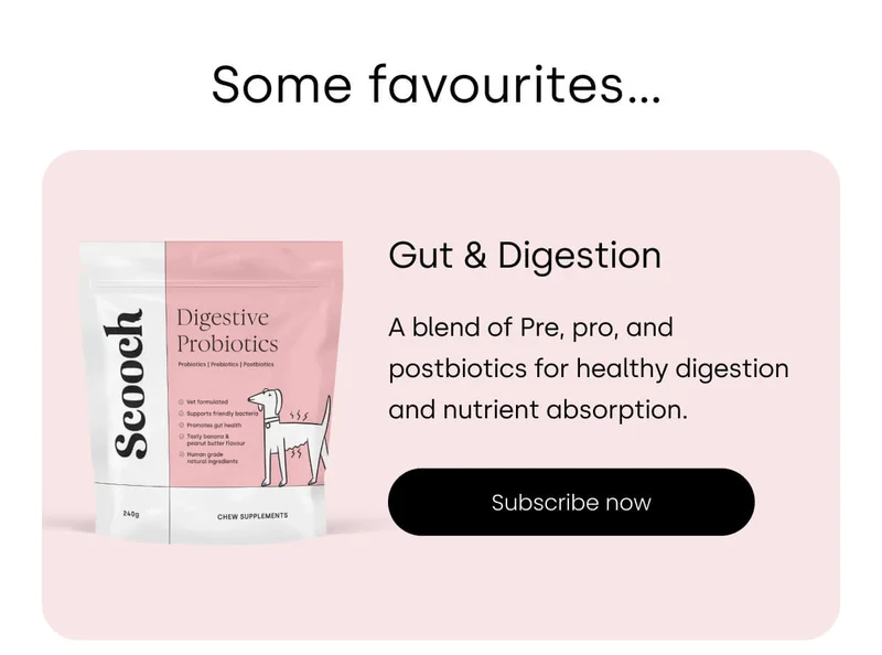 Make your pup unwrap these healthy treats! - Subscribe to Gut & Digestion