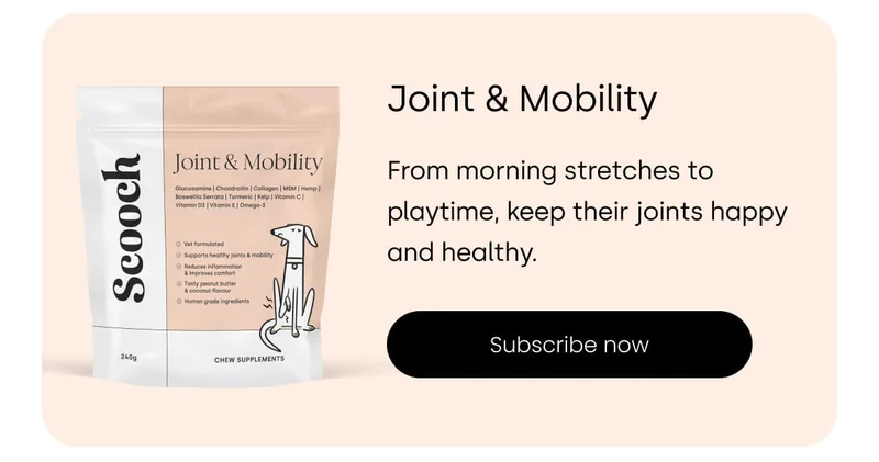 Make your pup unwrap these healthy treats! - Subscribe to Joint & Mobility