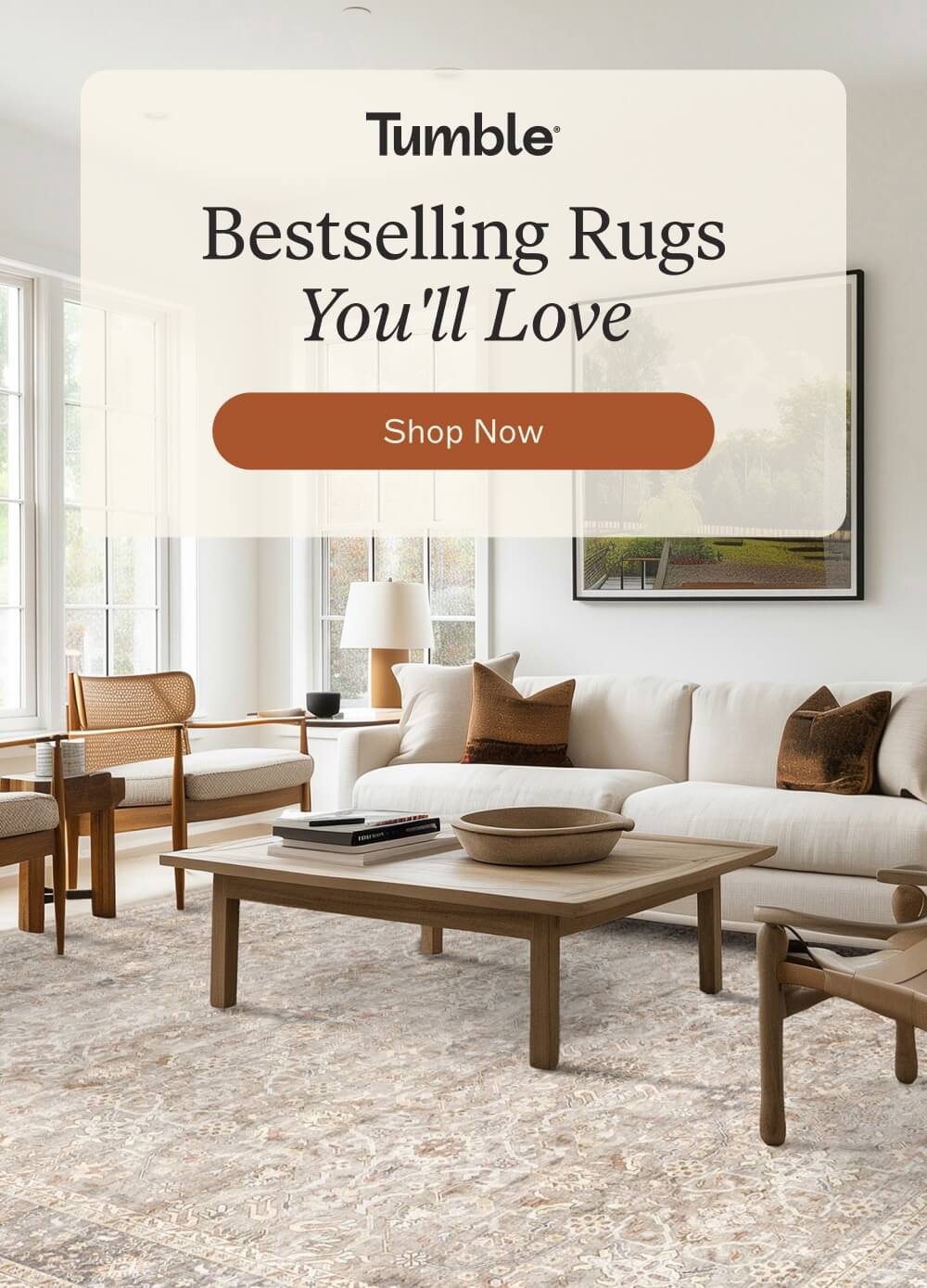 Bestselling Rugs You'll Love [ SHOP NOW ]