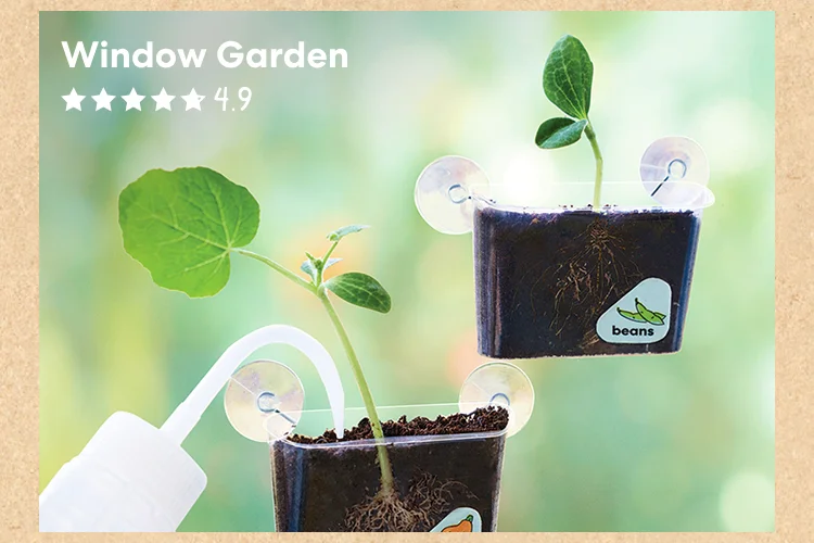Window Garden
