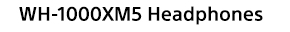 WH-1000XM5 Headphones
