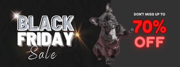 Early Black Friday Sale
