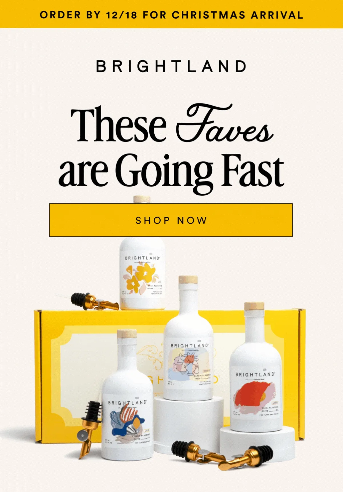 ORDER BY 12/18 FOR CHRISTMAS ARRIVAL These  Faves are Going Fast SHOP NOW
