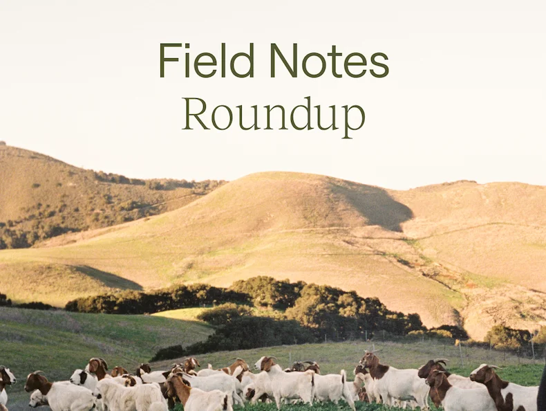 Field notes roundup