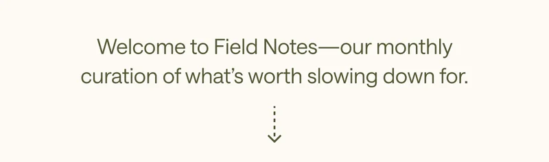 Welcome to our monthly field notes