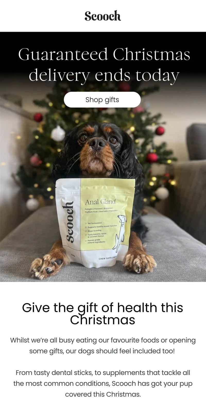 Guaranteed Christmas delivery ends today - Shop gifts