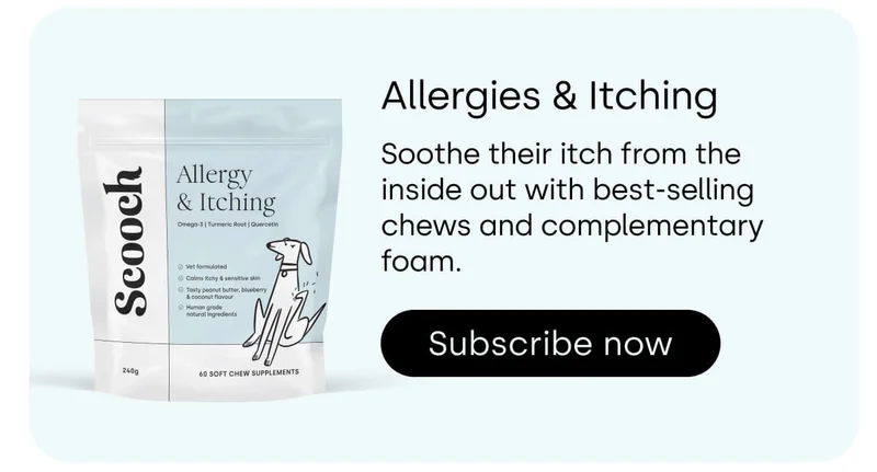 Allergies & Itching - Subscribe now