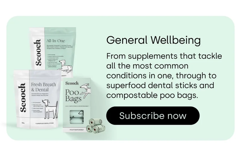 From supplements that tackle all the most common conditions in one, through to superfood dental sticks and compostable poo bags.  - Subscribe now