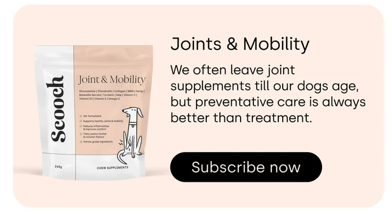 Joints & Mobility - Subscribe now
