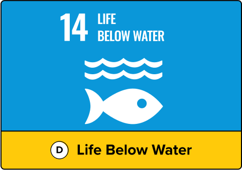D. Life Below Water