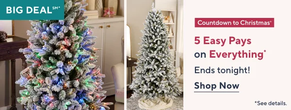 countdown to christmas
