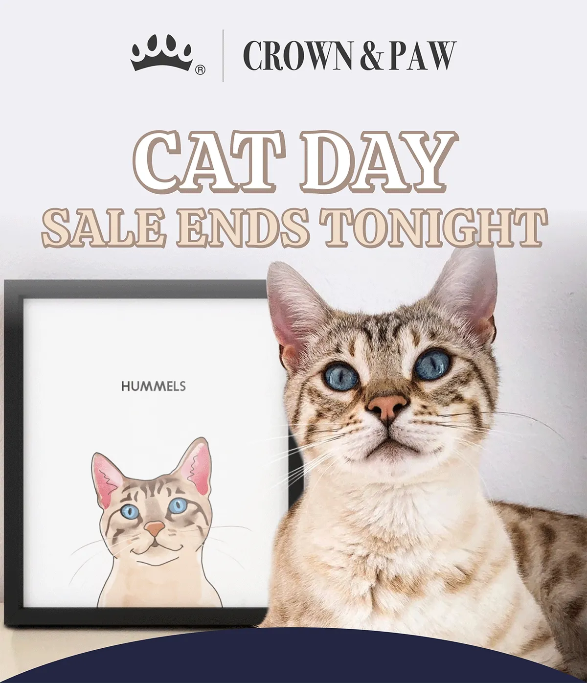 Cat Day Sale Ends Tonight