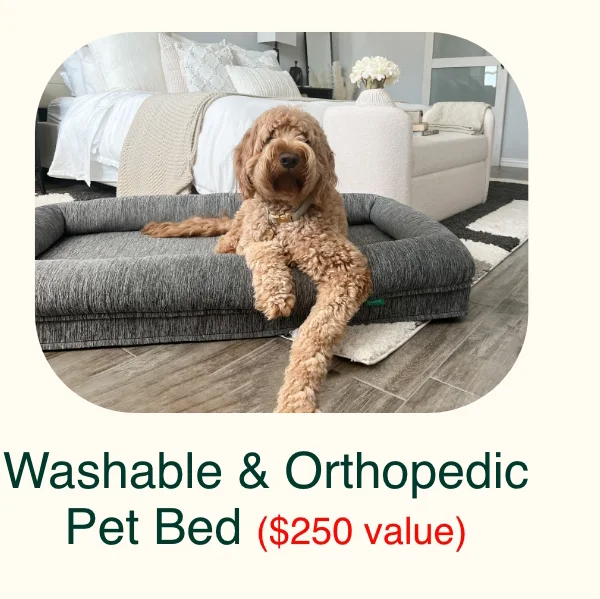 @newtonliving - Newton Washable & Orthopedic Pet Bed ($250 value)