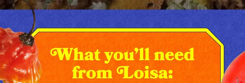 What you’ll need from Loisa: