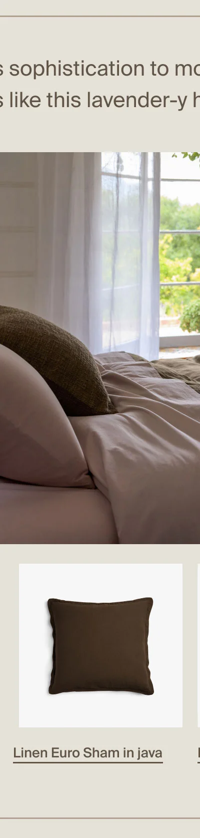 Linen Euro Sham in java