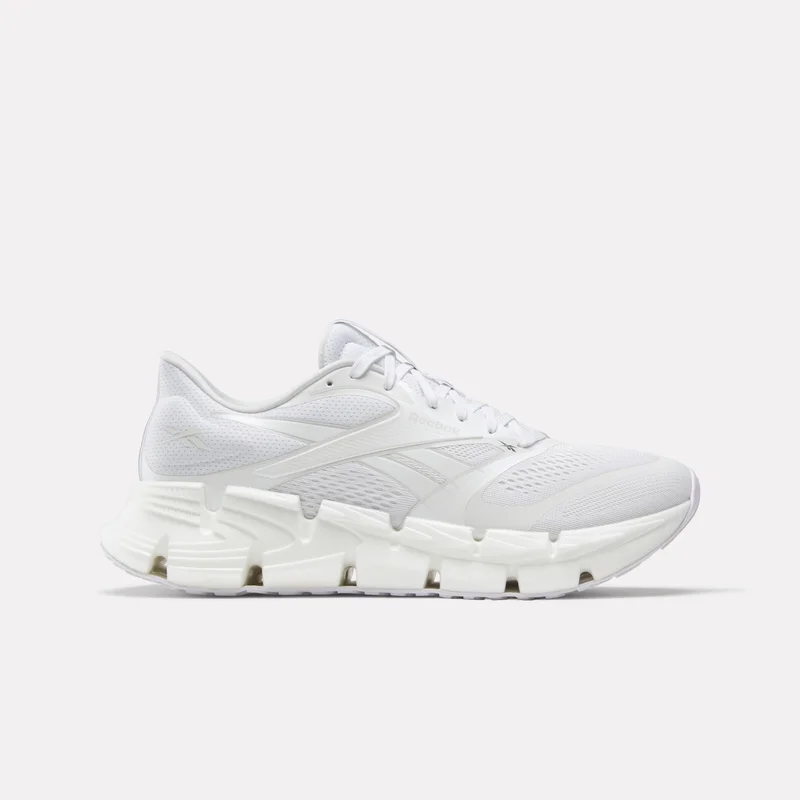 Image of Men's FloatZig 2 Running Shoes