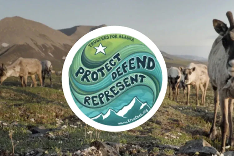 Graphic that says protect, defend, represent.