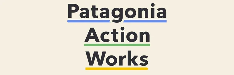Patagonia Action Works.