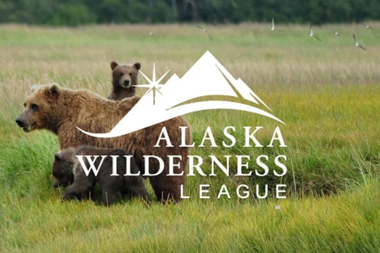 Photo of a momma bear and her cubs.