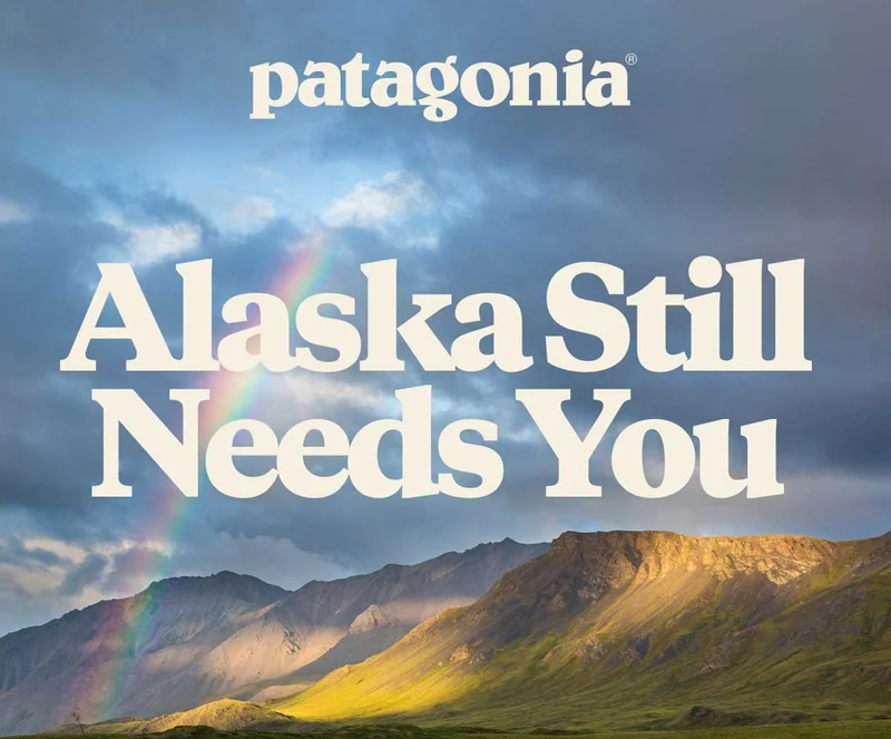 Patagonia. Alaska still needs you. A rainbow at 10 PM in a valley in northern Alaska.