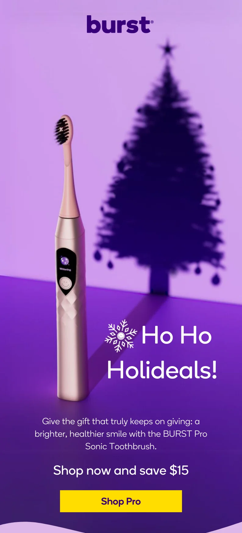 Shop our Pro Sonic Toothbrush Holideal and save $15