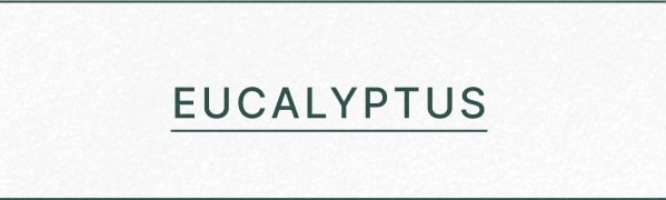 Eucalyptus