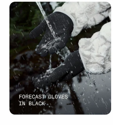 Forecast Gloves in Black