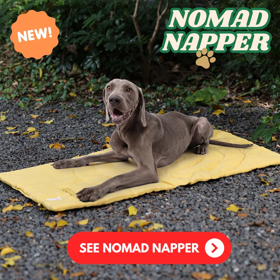 New! Nomad Napper