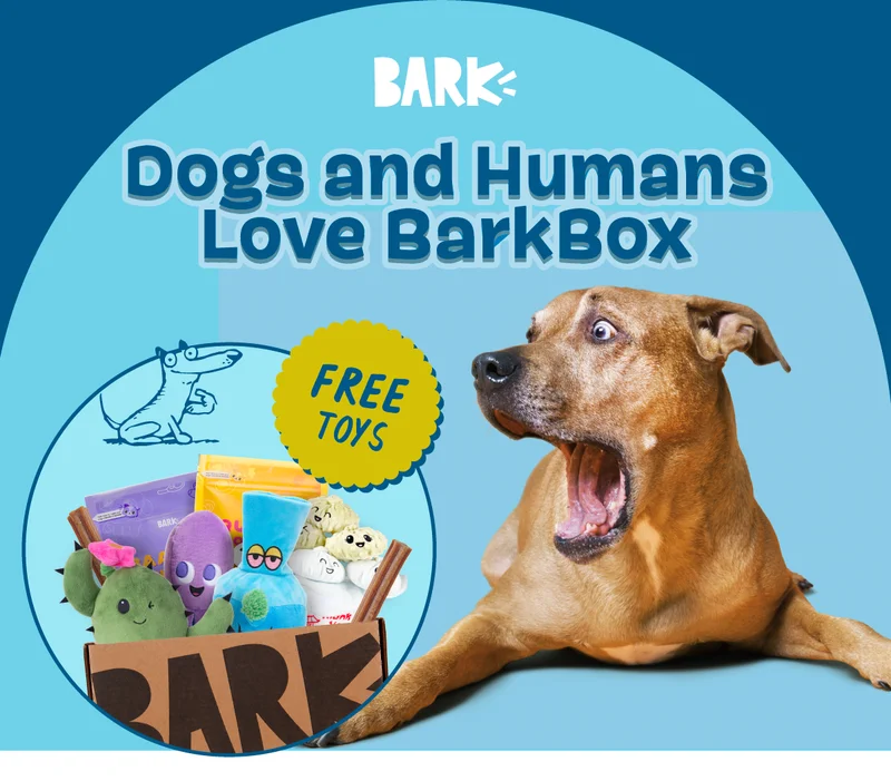 We love BARK