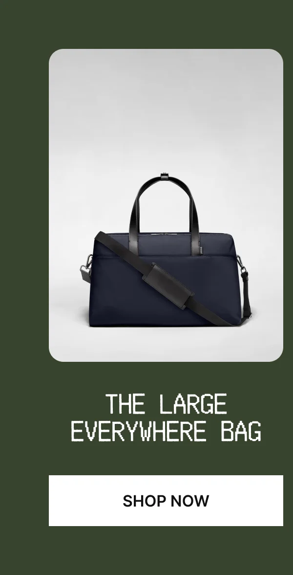 The Large Everywhere Bag