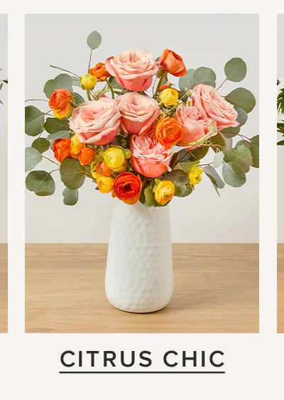 Featured Bouq: Citrus Chic