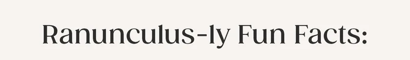 Ranunculus-ly Fun Facts
