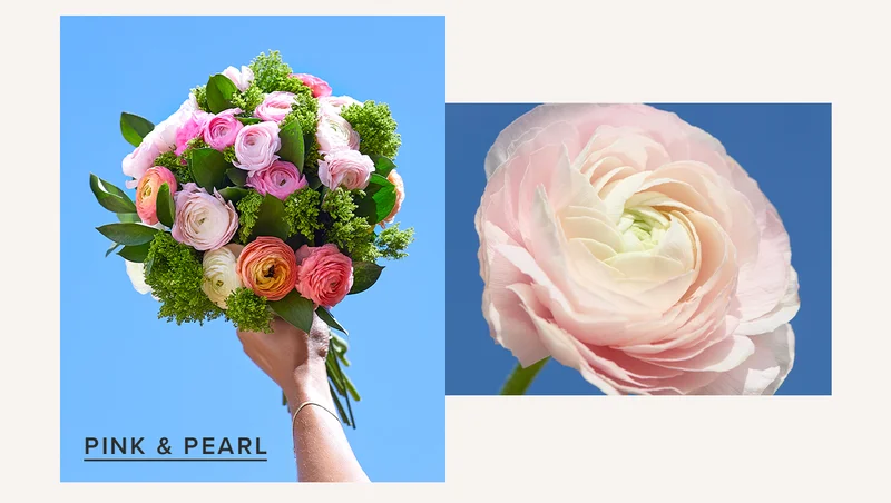 Featured Bouq: Pink & Pearl