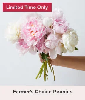 Flowers At a Great Price