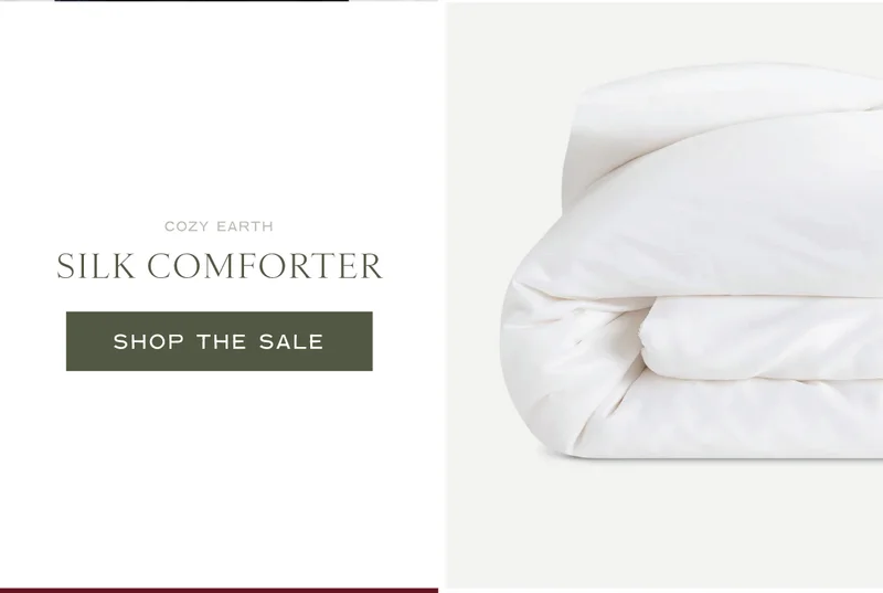 Shop The Silk Comforter