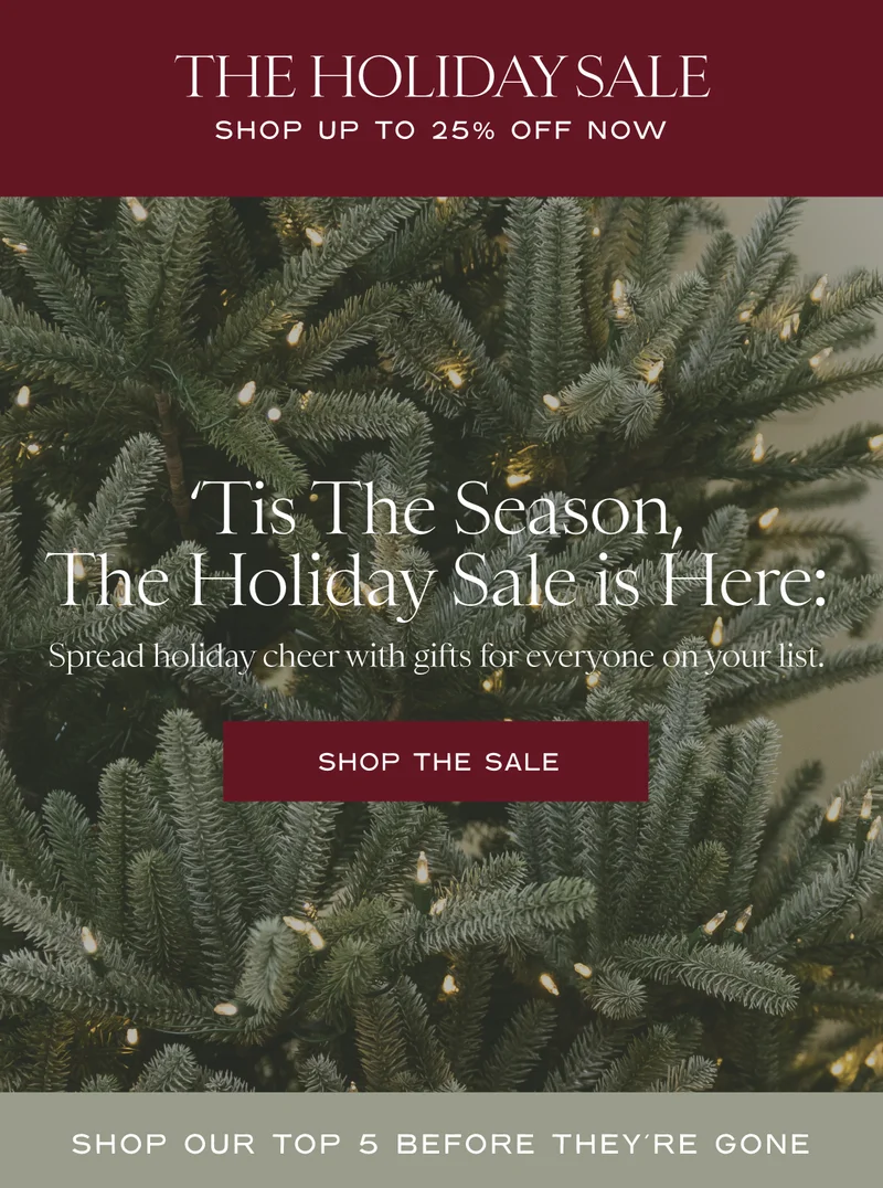 Shop The Sale