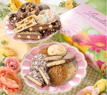 Landies Candies 16pc Chocolate Cookies or Pretzels in Spring Box