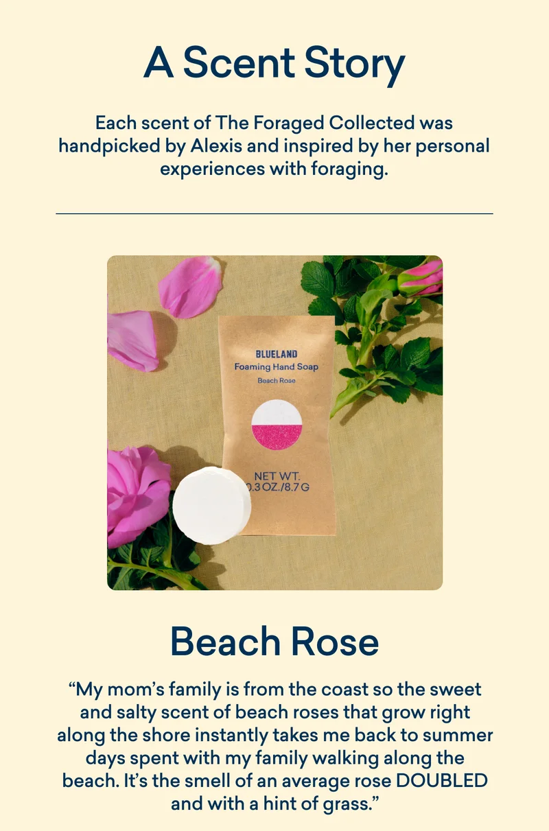 Beach Rose