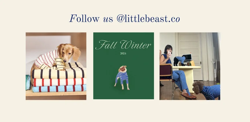 Follow us on Instagram