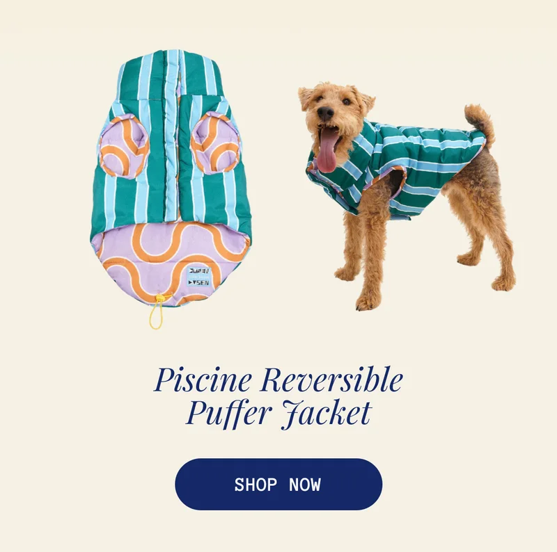 Piscine Reversible Puffer Jacket