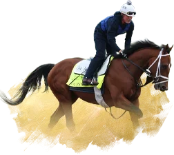 Betting