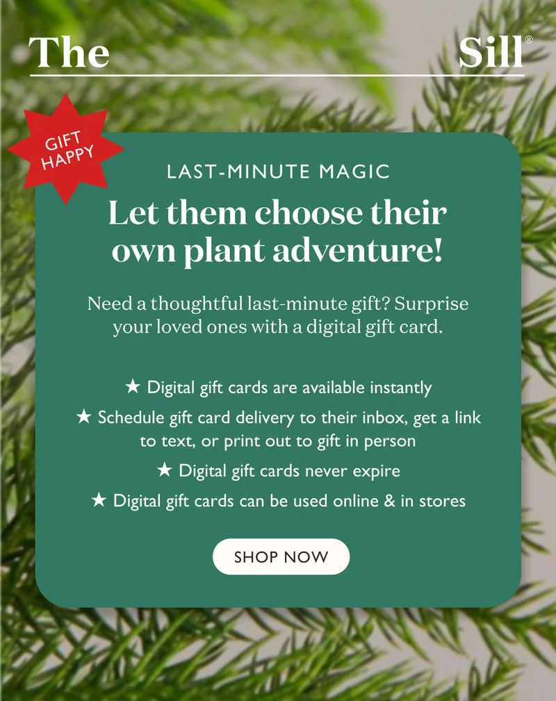 Need a thoughtful last-minute gift? Surprise your loved ones with a digital gift card. Gift cards are available instantly, or can be scheduled for a later date. They never expire. And they can be used online and in stores. Grab a gift card today!