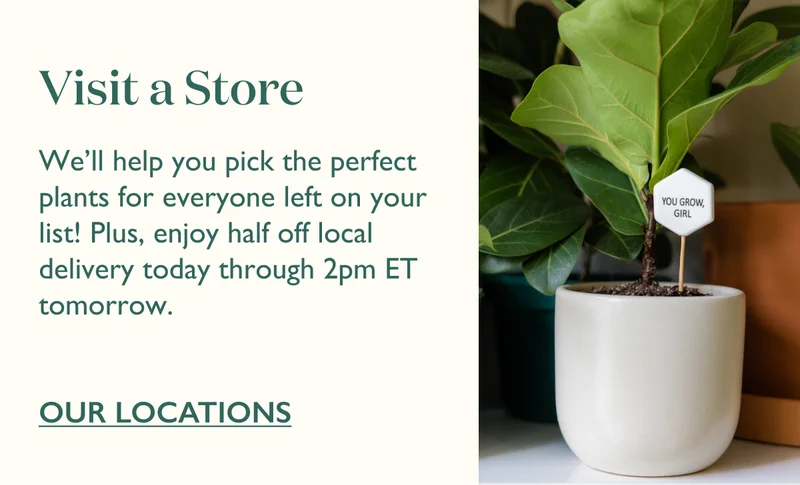 Vist a Store: We'll help you pick the perfect plants for everyone left on your list! Plus, enjoy half off local delivery today through 2pm ET tomorrow.
