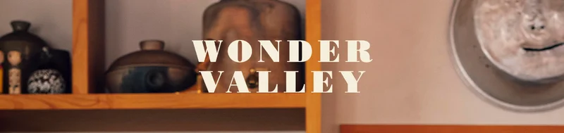 WONDER VALLEY