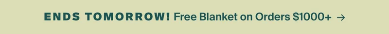 Ends tomorrow. Free blanket on orders $1000+