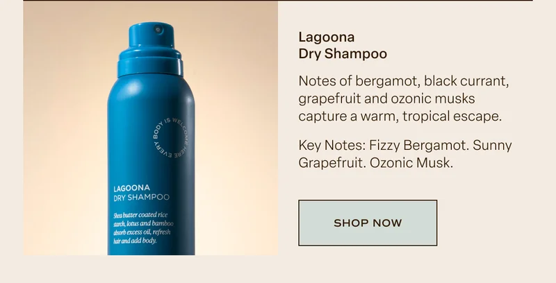Lagoona Dry Shampoo