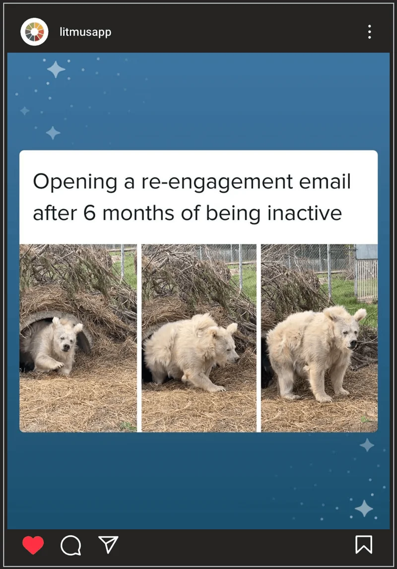 A post on @litmusapp's Instagram of a white bear emerging from hibernation, followed by it standing outside, visually representing the caption 'Opening a re-engagement email after 6 months of being 
inactive.'